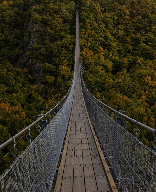 Photo of a Long Bridge